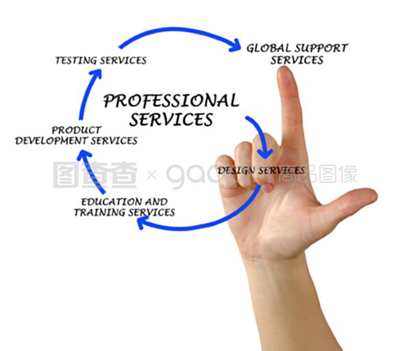专业服务图表与专业设计服务的价值与应用